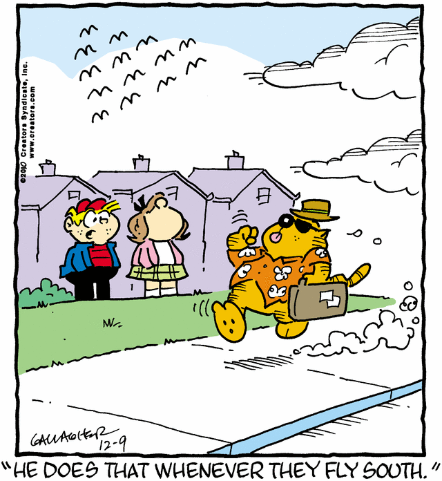 heathcliff